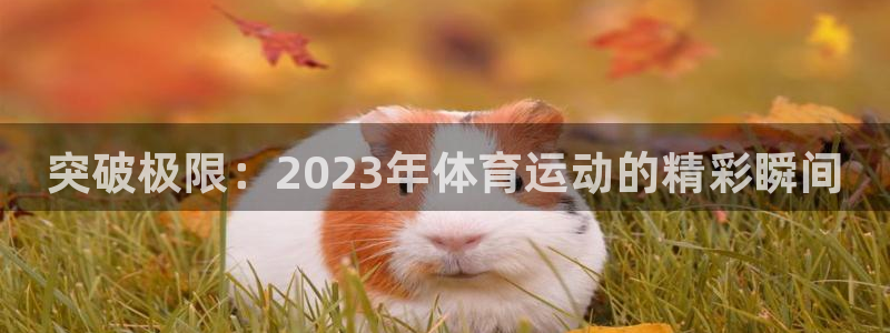 yy易游官方正版app娱乐网站：突破极限：2023年