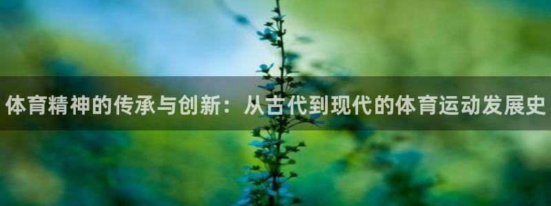 yy易游官网下载平台注册流程图：体育精神的传承与创新