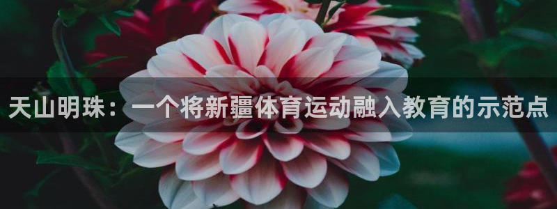 海南yy易游官网下载发展怎么样：天山明珠：一个将新疆