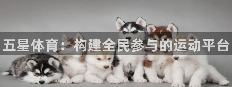 yy易游官方正版app开户：五星体育：构建全民参与的