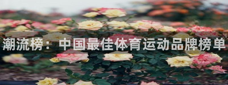 yy易游官网下载官方客服电话：潮流榜：中国最佳体育运