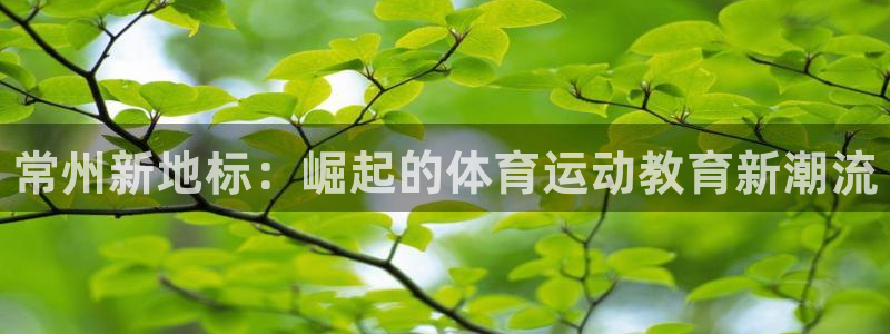 yy易游官网下载招商电话号码查询是多少：常州新地标：