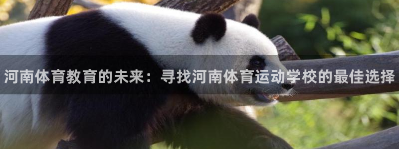 yy易游官网下载招商电话地址：河南体育教育的未来：寻