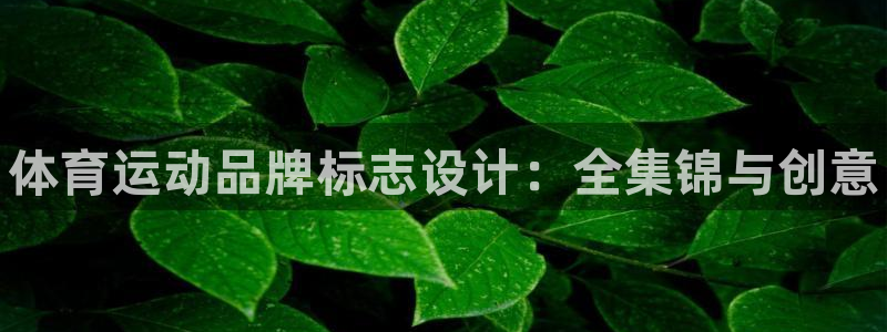 yy易游官方正版app娱乐是那个系列的台子：体育运动