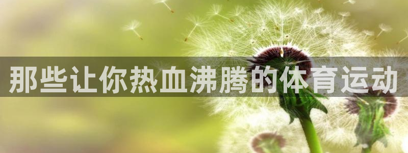 yy易游官网下载平台是正规平台吗安全吗：那些让你热血
