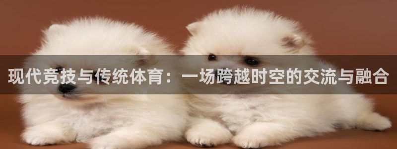 yy易游官网下载平台注册要钱吗安全吗：现代竞技与传统