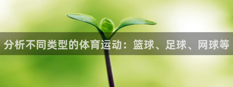 yy易游官网下载平台是正规平台吗：分析不同类型的体育