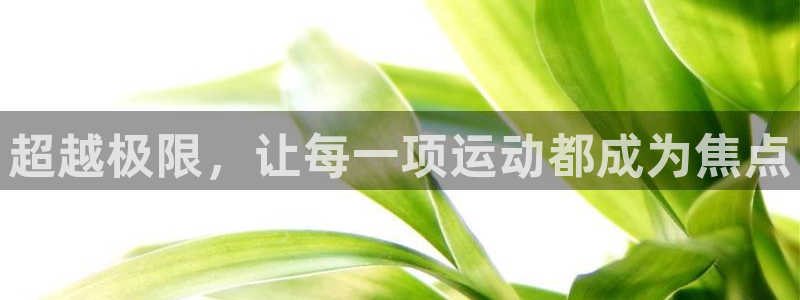 yy易游官方正版app官网：超越极限，让每一项运动都