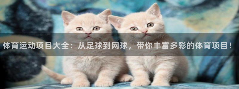yy易游官方正版app神州：体育运动项目大全：从足球