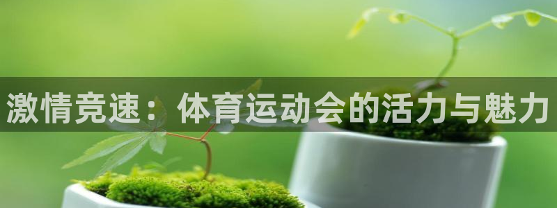 yy易游官方正版app官网：激情竞速：体育运动会的活