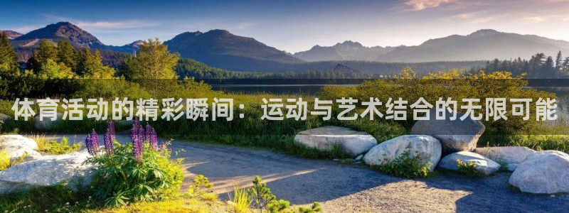 yy易游官方正版app集团：体育活动的精彩瞬间：运动