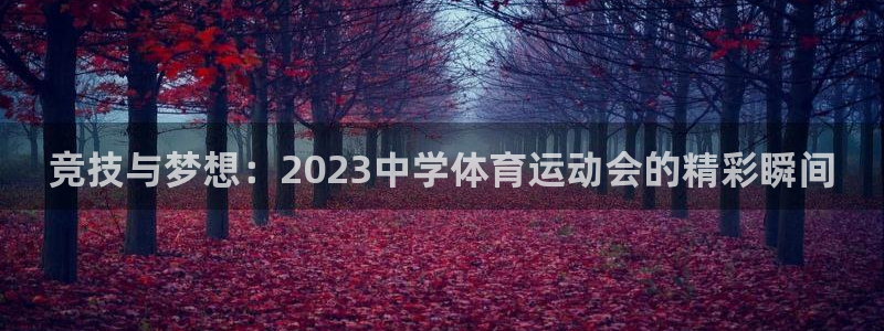 yy易游官方正版app代理：竞技与梦想：2023中学