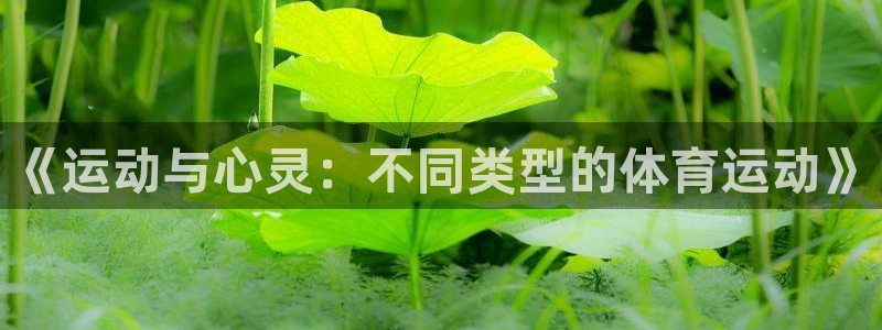 yy易游官方正版app娱乐：《运动与心灵：不同类型的