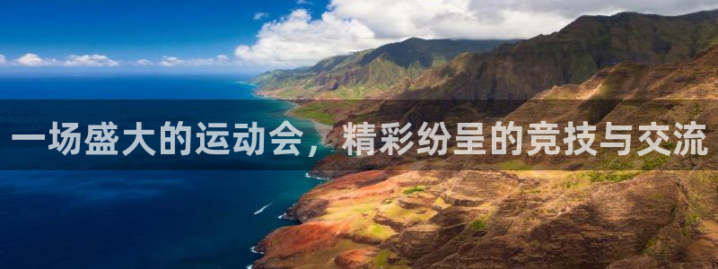 yy易游官网下载平台是正规平台吗知乎：一场盛大的运动