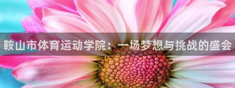 yy易游官网下载平台是正规平台吗：鞍山市体育运动学院