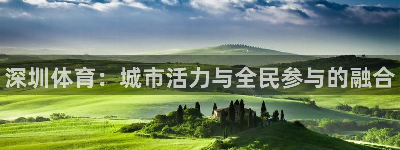 德国yy易游官方正版app集团：深圳体育：城市活力与全民参与