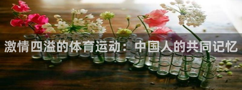 yy易游官网下载招商：激情四溢的体育运动：中国人的共同记忆