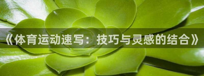 yy易游官方正版app神州：《体育运动速写：技巧与灵