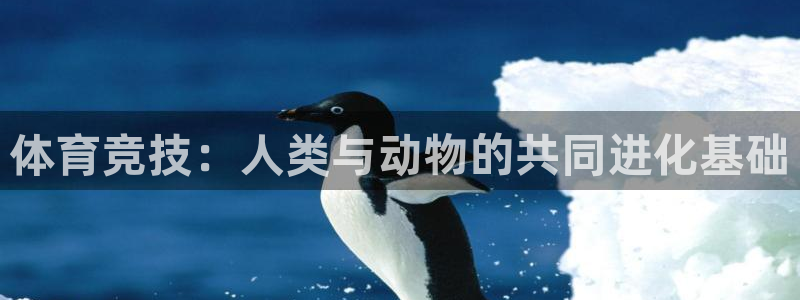 yy易游官方正版app娱乐下载：体育竞技：人类与动物