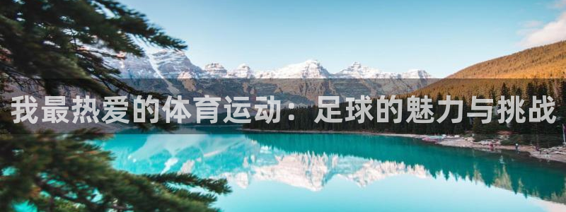 yy易游官网下载平台注册：我最热爱的体育运动：足球的