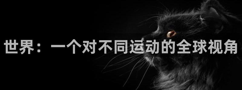 yy易游官方正版app五金厂：世界：一个对不同运动的全球视角