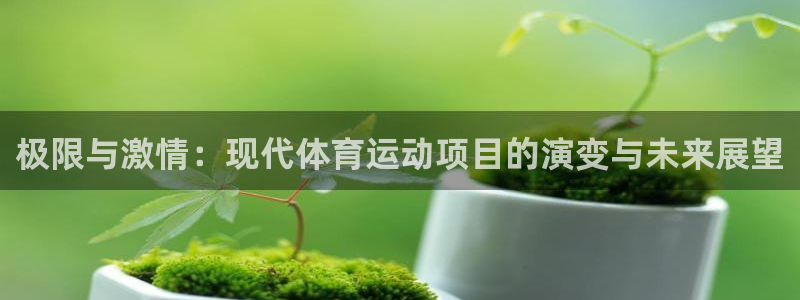 yy易游官方正版app娱乐代理怎么样：极限与激情：现代体育运