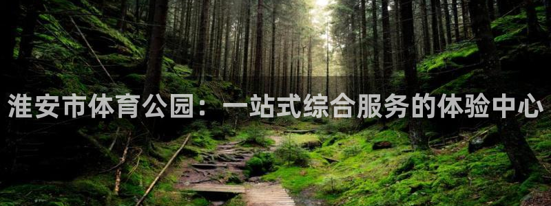 yy易游官方正版app集团E.ON