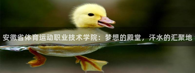 yy易游官网下载官方客服电话：安徽省体育运动职业技术学院：梦