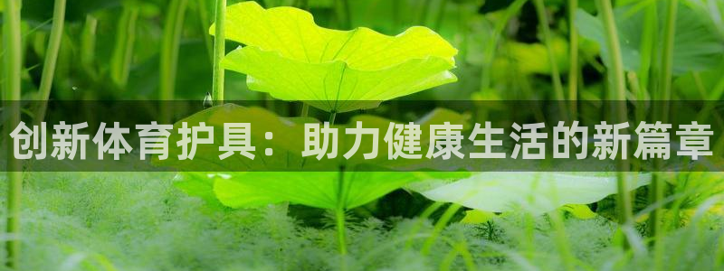 yy易游体育贴吧最新消息：创新体育护
