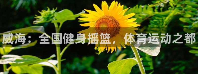 yy易游体育是正规的吗安全吗：威海：