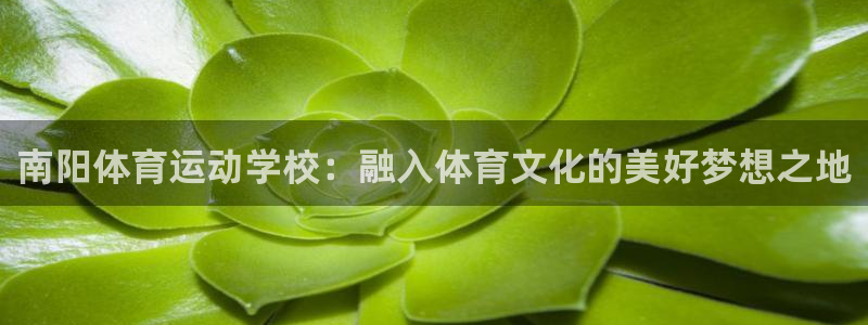 yy易游体育电竞登录不上去了：南阳体育运动学校：融入体育文化