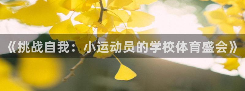yy易游体育是正规的吗安全吗可靠吗：